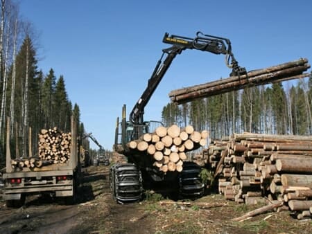 Оперативная трелевка леса