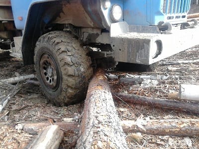 Вывозка леса за минимальные сроки на фуре